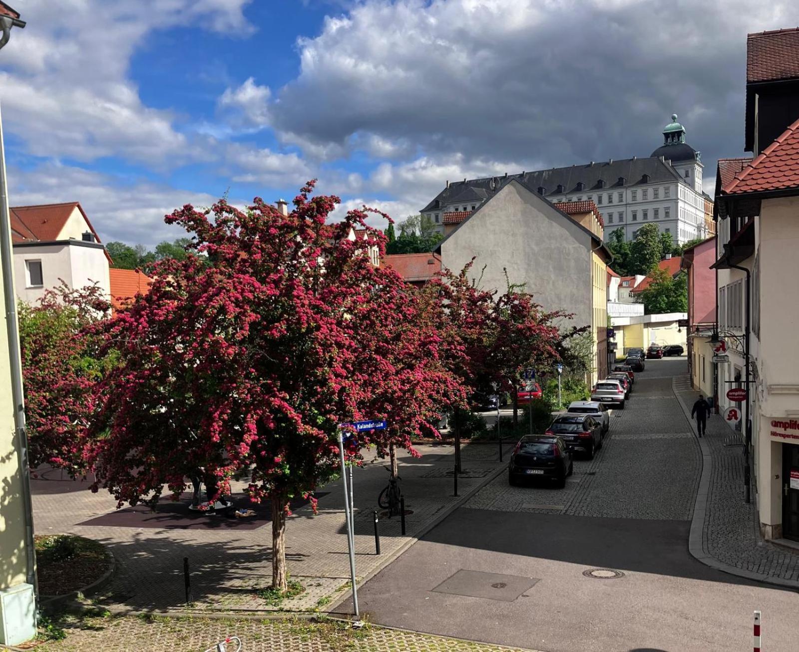 Ferienzimmer Healing Und Montuerwohnung Weissenfels Bagian luar foto